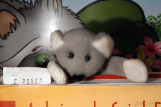 Fotíme s Koalou: Stabilizace