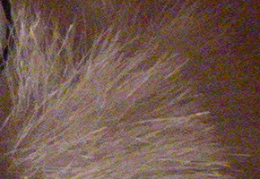 Olympus Stylus XZ-2: jednoduše skvělý