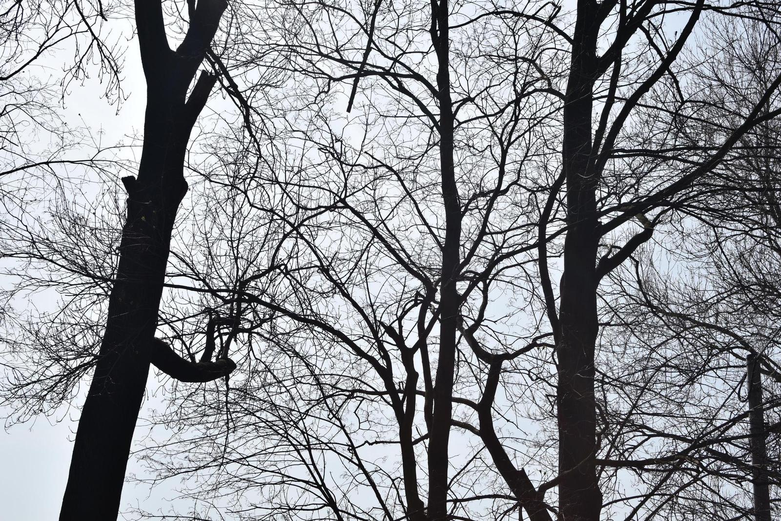 Nikon AF-S DX NIKKOR 35mm f/1.8G