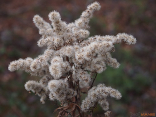 Olympus PEN E-P3: král všech PENů