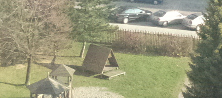 Nokia Lumia 1020 vs. 808 PureView