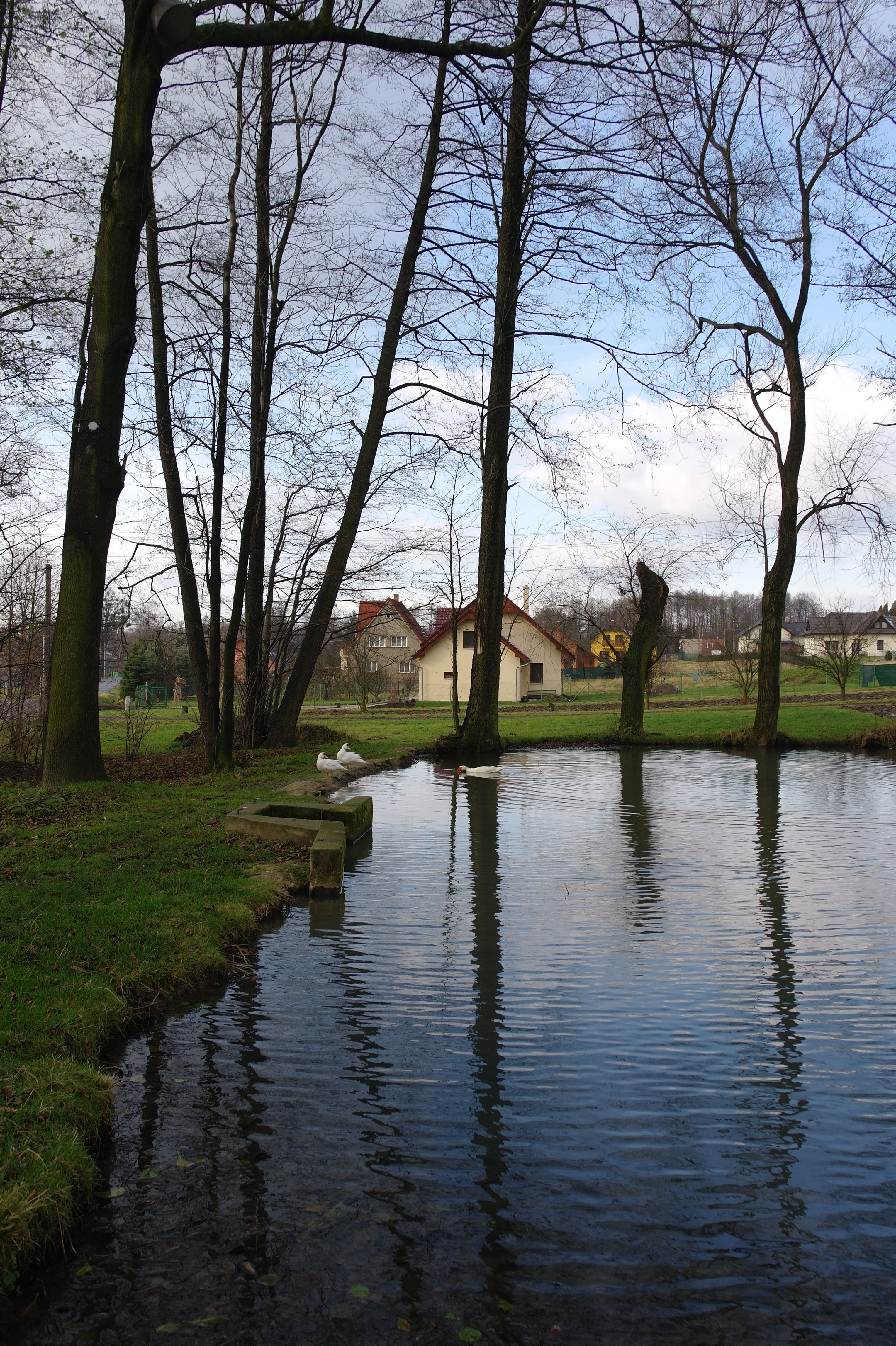 Samsung NX100: "zrcadlovka" do kapsy