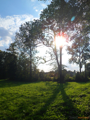 Starý vs. nový aneb megapixely k ničemu?