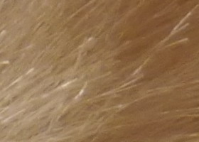 Panasonic Lumix G3: menší a lehčí, je i lepší?