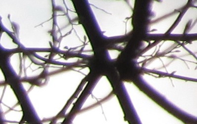 Canon PowerShot SX130 IS: levný všeuměl