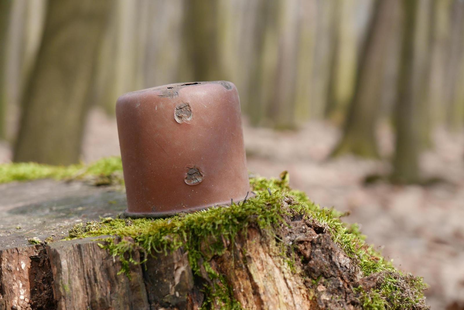 Panasonic Lumix LX100: pozoruhodný profi kompakt