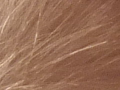 Fujifilm FinePix HS20EXR: důstojný nástupce