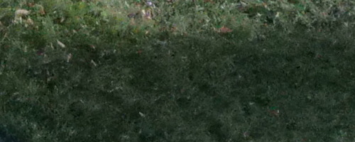 Panasonic Lumix GH5 II: nejen pro vloggery