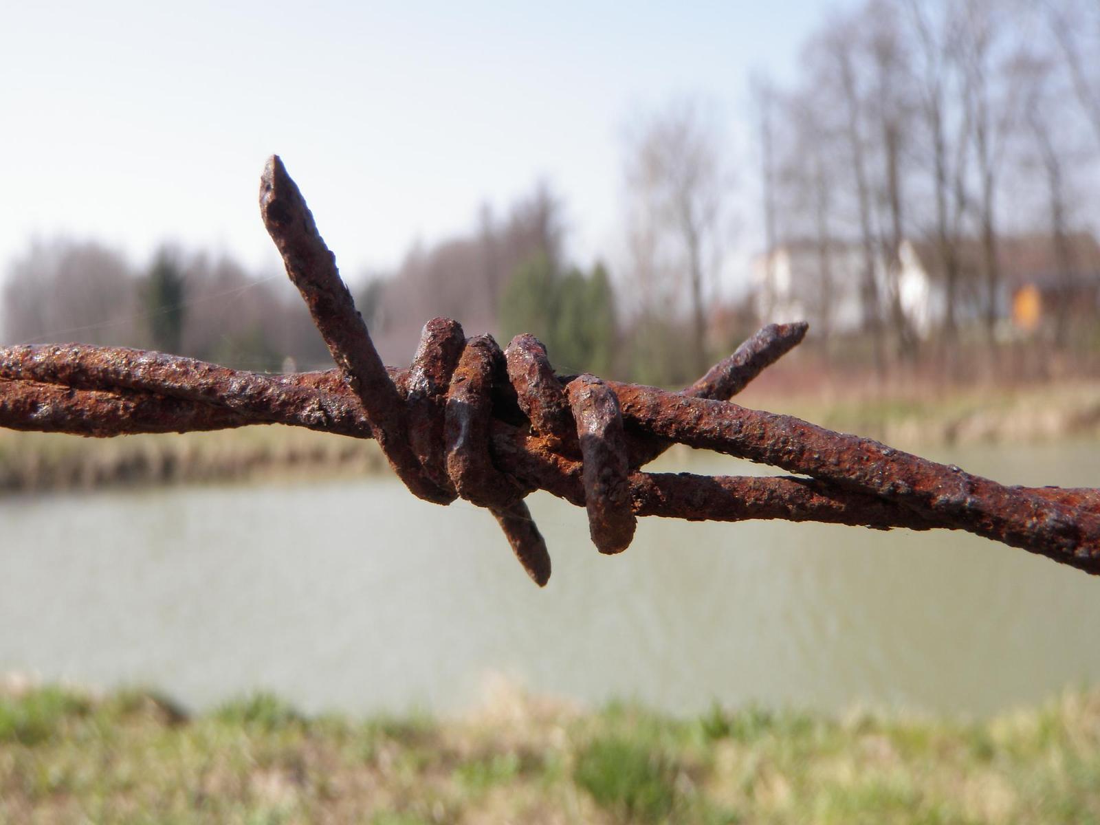 Olympus mju Tough 6000 vs. 8000: 10 proti 12