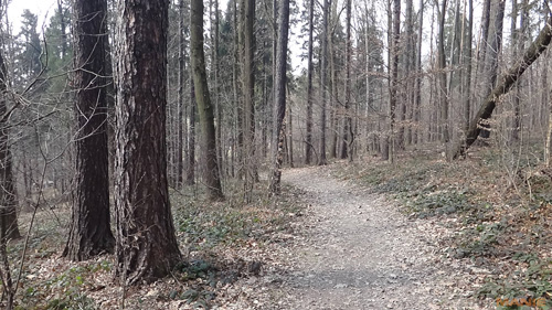 Sony Cyber-shot TX10: odolný zálesák