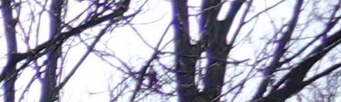 Sony Cyber-shot RX100 VII: nejlepší přítel cestovatele