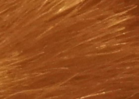 Sony Alpha SLT-A35: úspěšně proti zrcadlovkám