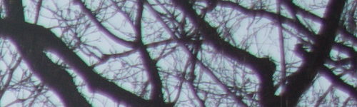 Nikon AF-P NIKKOR 18-55mm f/3.5-5.6G VR