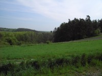 Konica Minolta Dimage E50 - pro každého něco...