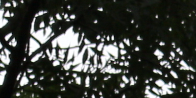 Canon EF-S 18-55mm F3,5-5,6 IS STM