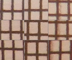 Nikon Coolpix P500: univerzální dalekohled