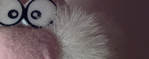 Nokia 808 PureView: mobilní zrcadlovkobijec