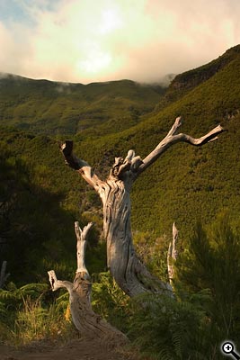 Cesta ke kvalitní fotografii: 2.díl