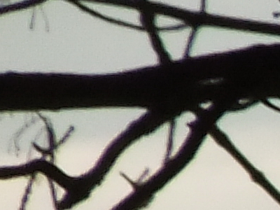 Fujifilm FinePix F300EXR: klame tělem