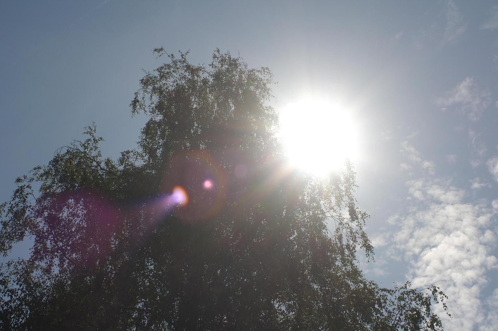 Canon FL 35mm 1:2.5 (FL/FD)