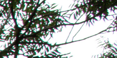 Canon EF-S 18-55mm F3,5-5,6 IS STM