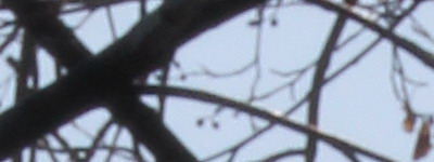 Megatest ultrazoomových objektivů