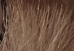 Samsung NX1000: sněhobílý bezdrát