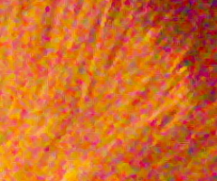 Fujifilm FinePix HS10: ultrazoom roku?