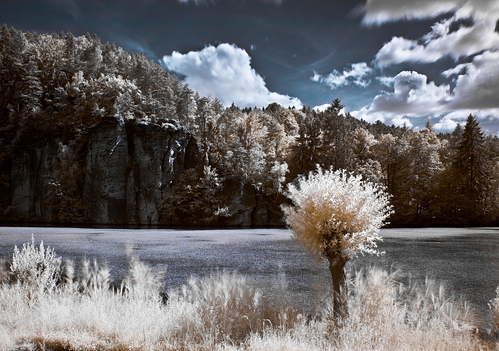 Objevte svět infrafotografie