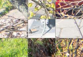 Panasonic Lumix S 24-105mm F4 Macro O.I.S.