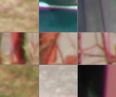 Megatest ultrazoomových objektivů