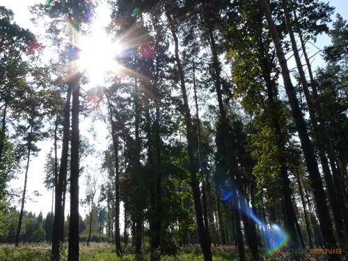 Panasonic Lumix FZ28: o krok blíže dokonalosti