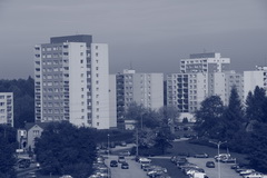 Canon EOS 550D: třídní premiant