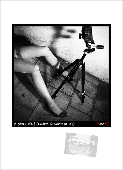 Ejhle člověk 1: Zábava, práce nebo poslání?