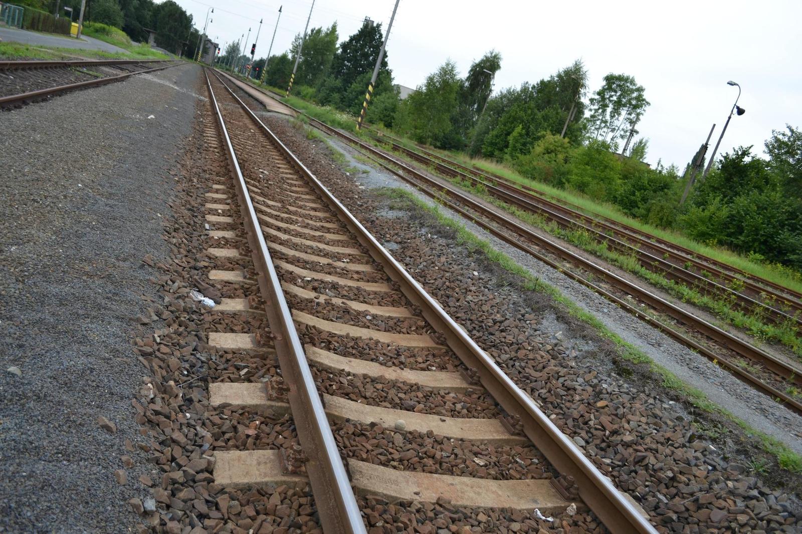 Nikon 18-55mm f/3,5-5,6G AF-S DX VR