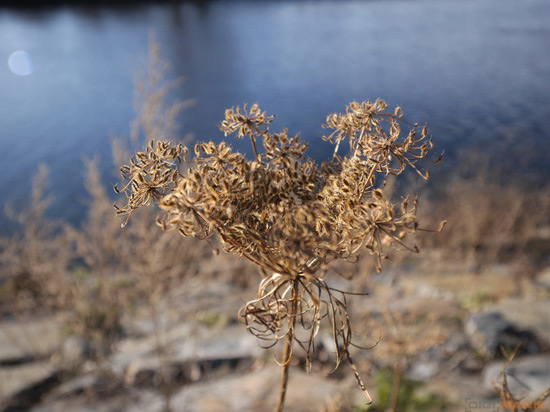 Panasonic Lumix GH3: král Micro Four Thirds systému