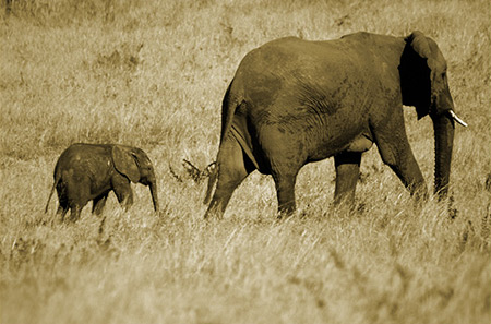 Fotoexpedice Namibie 2007