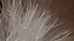 Sony Cyber-shot RX100 III (RX100M3): superSony