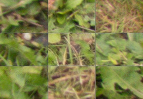 Panasonic Lumix FZ300: opět na špici