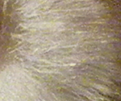 Nikon Coolpix P90: napodruhé mnohem lépe