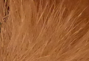 Panasonic Lumix LX7: kompaktní hvězda noci