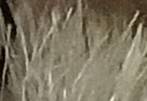 Sony Cyber-shot HX20V: umí snad všechno