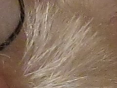 Canon PowerShot A800: šikula za pár stovek