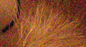 Canon PowerShot G1 X Mark II: významné zlepšení