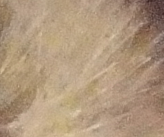 Sony Cyber-shot W350: šikovný prcek