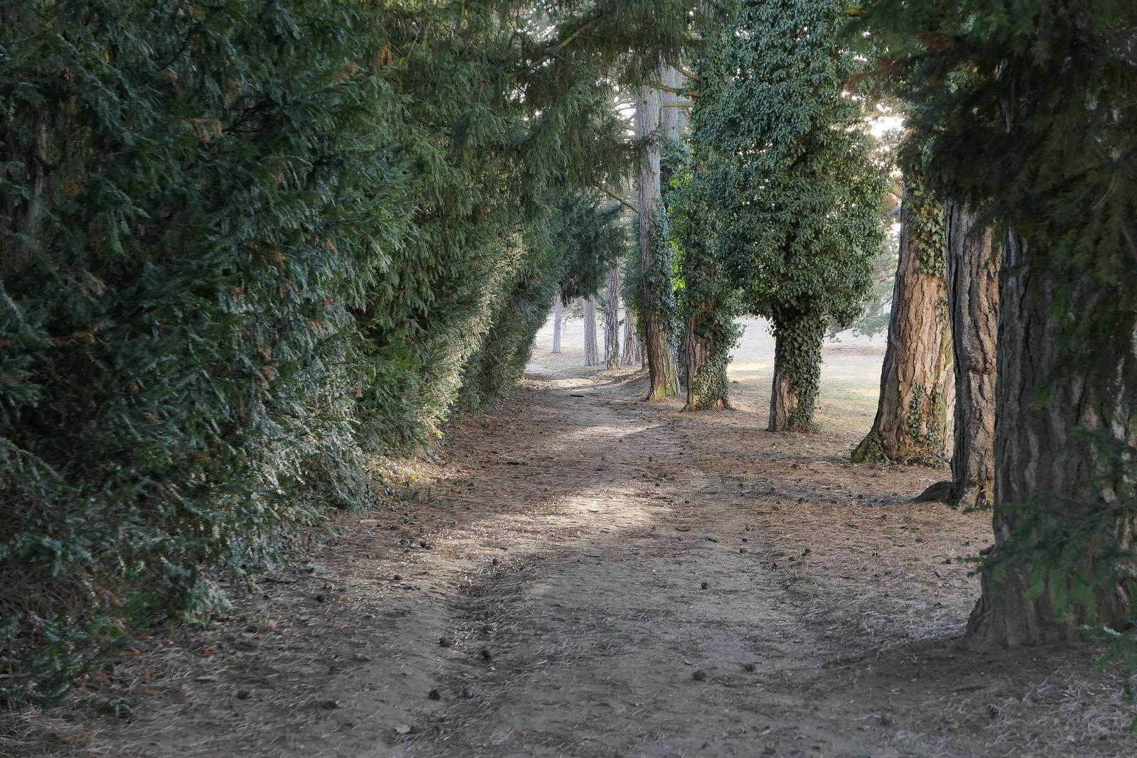 Panasonic Lumix LX15: noční borec