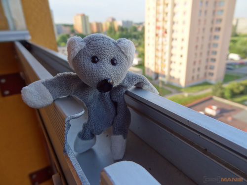 Fotíme s Koalou: Zoom a perspektiva