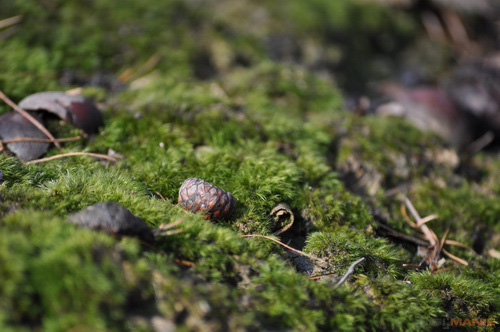 Dva objektivy nebo jeden ultrazoom?