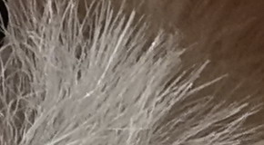 Sony Cyber-shot RX100 III (RX100M3): superSony