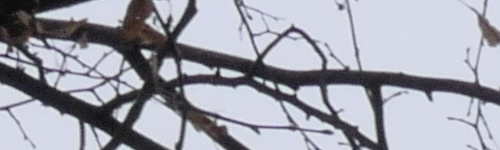 Panasonic Lumix FZ2000: ultrazoom nebo profi kamera?